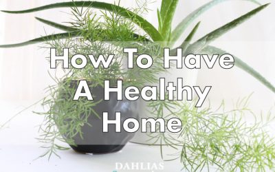 How To Create A Healthy House