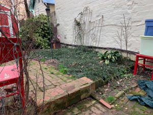 Church Hill Richmond Landscape Design