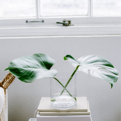 How To Create A Healthy House