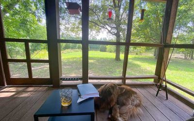 Exhale. How I Read a House Before I Touch It.