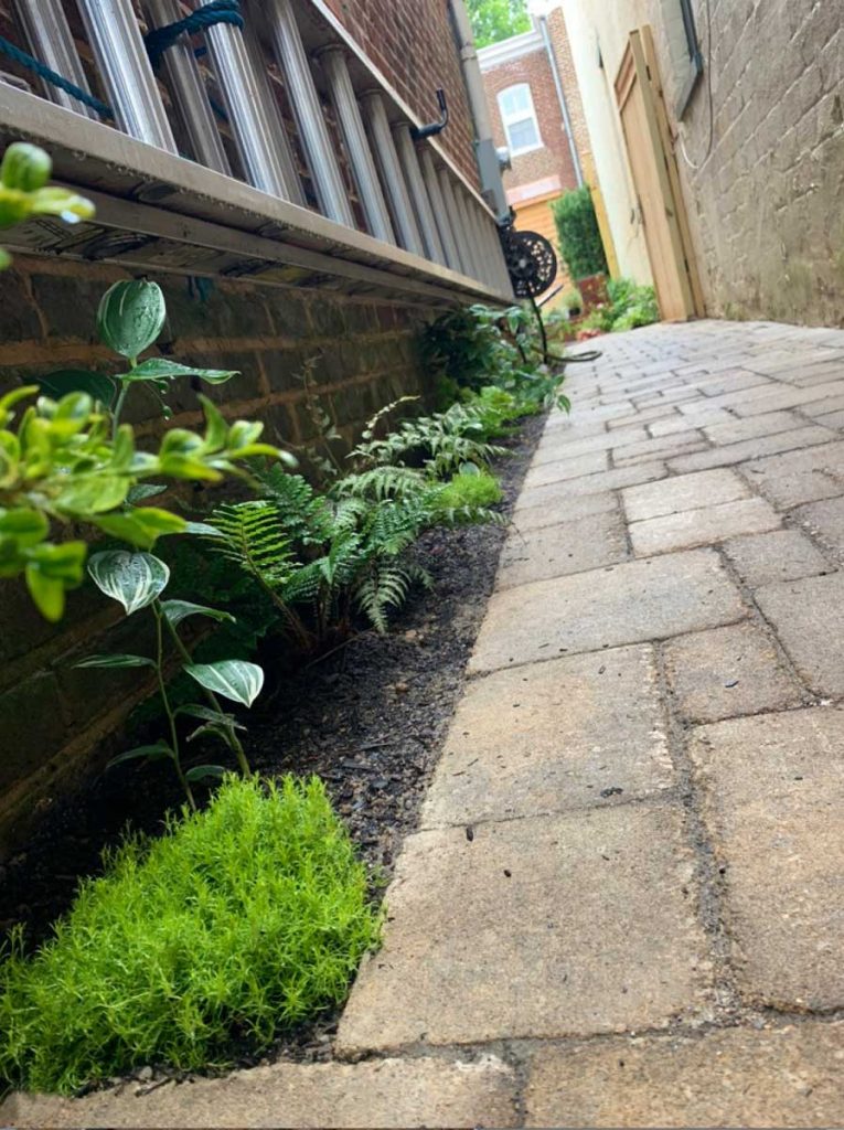Victorian Home Walkway